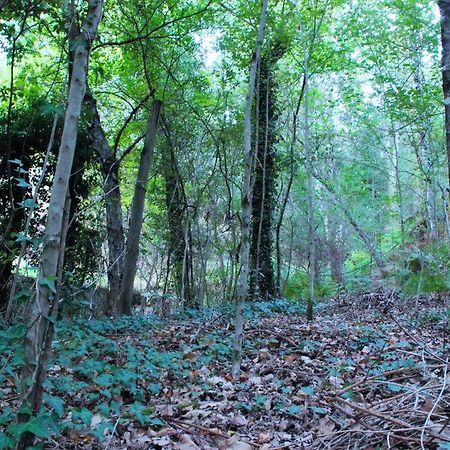 Eco Camping Juncal Marco de Canavezes Exterior foto