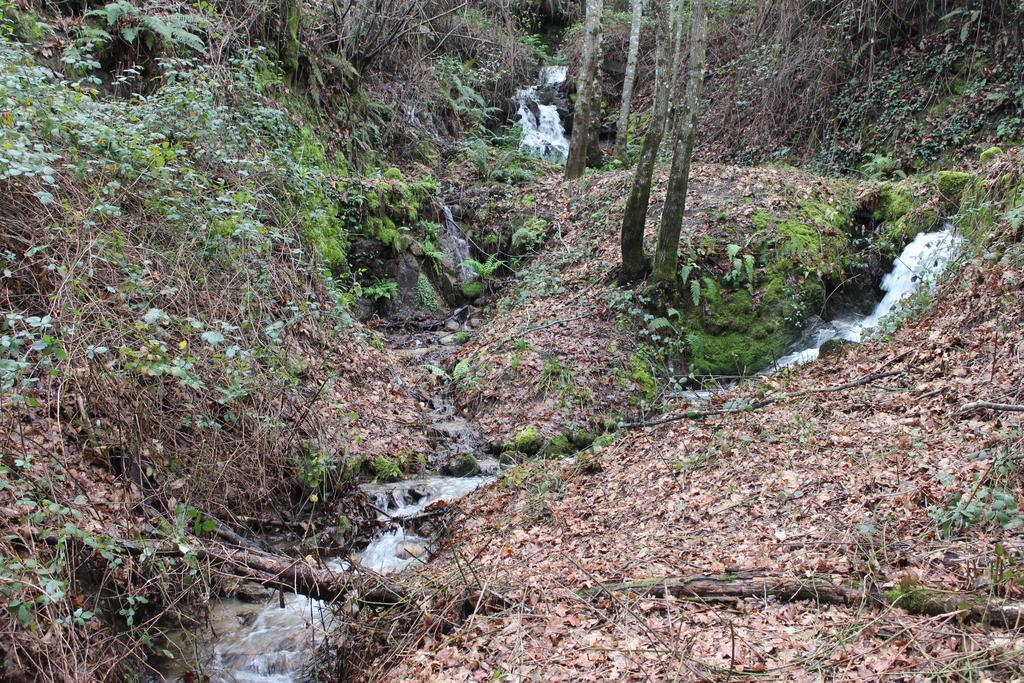 Eco Camping Juncal Marco de Canavezes Exterior foto