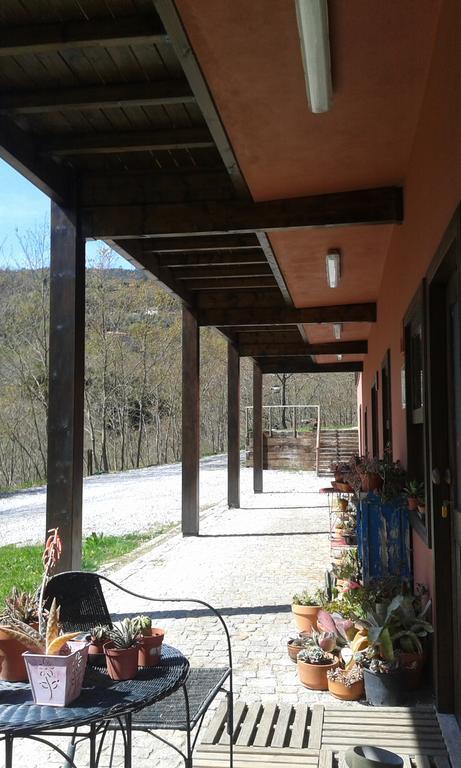 Eco Camping Juncal Marco de Canavezes Exterior foto