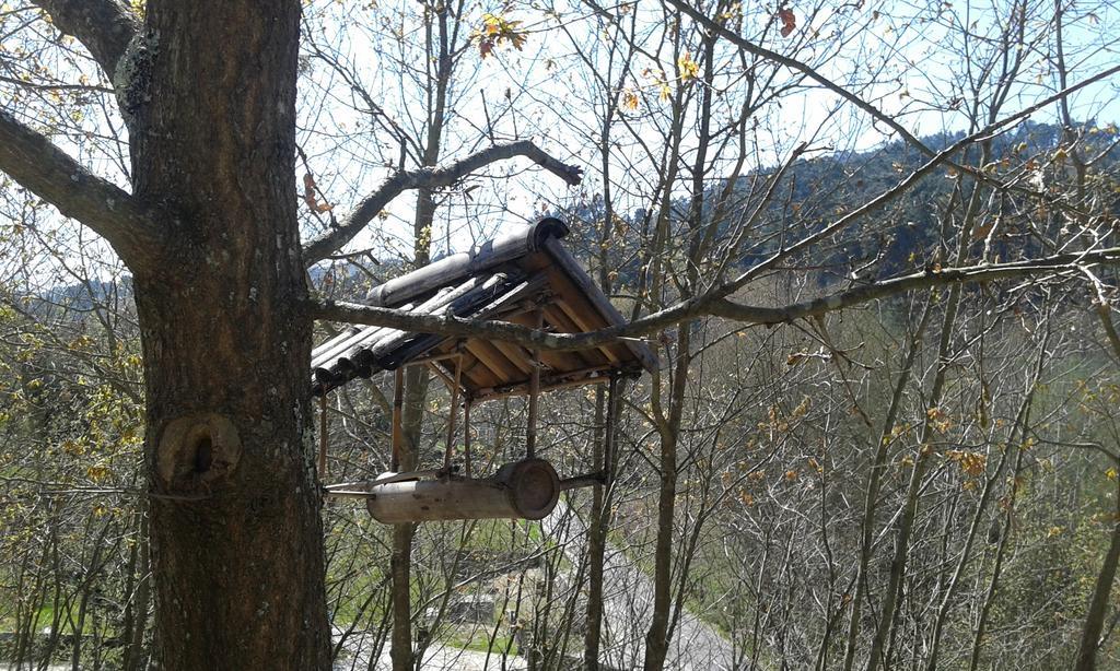 Eco Camping Juncal Marco de Canavezes Exterior foto