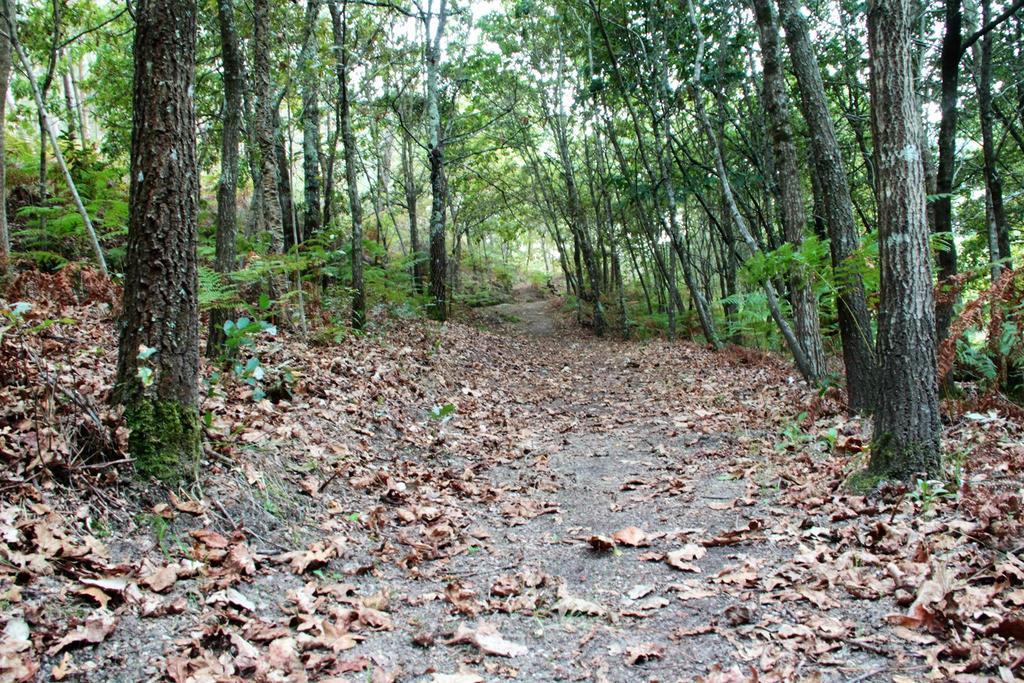 Eco Camping Juncal Marco de Canavezes Exterior foto
